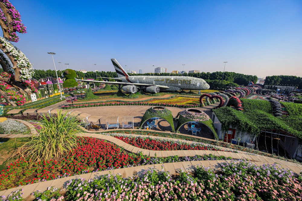 Dubai Miracle Garden / Дубайский Сад Чудес