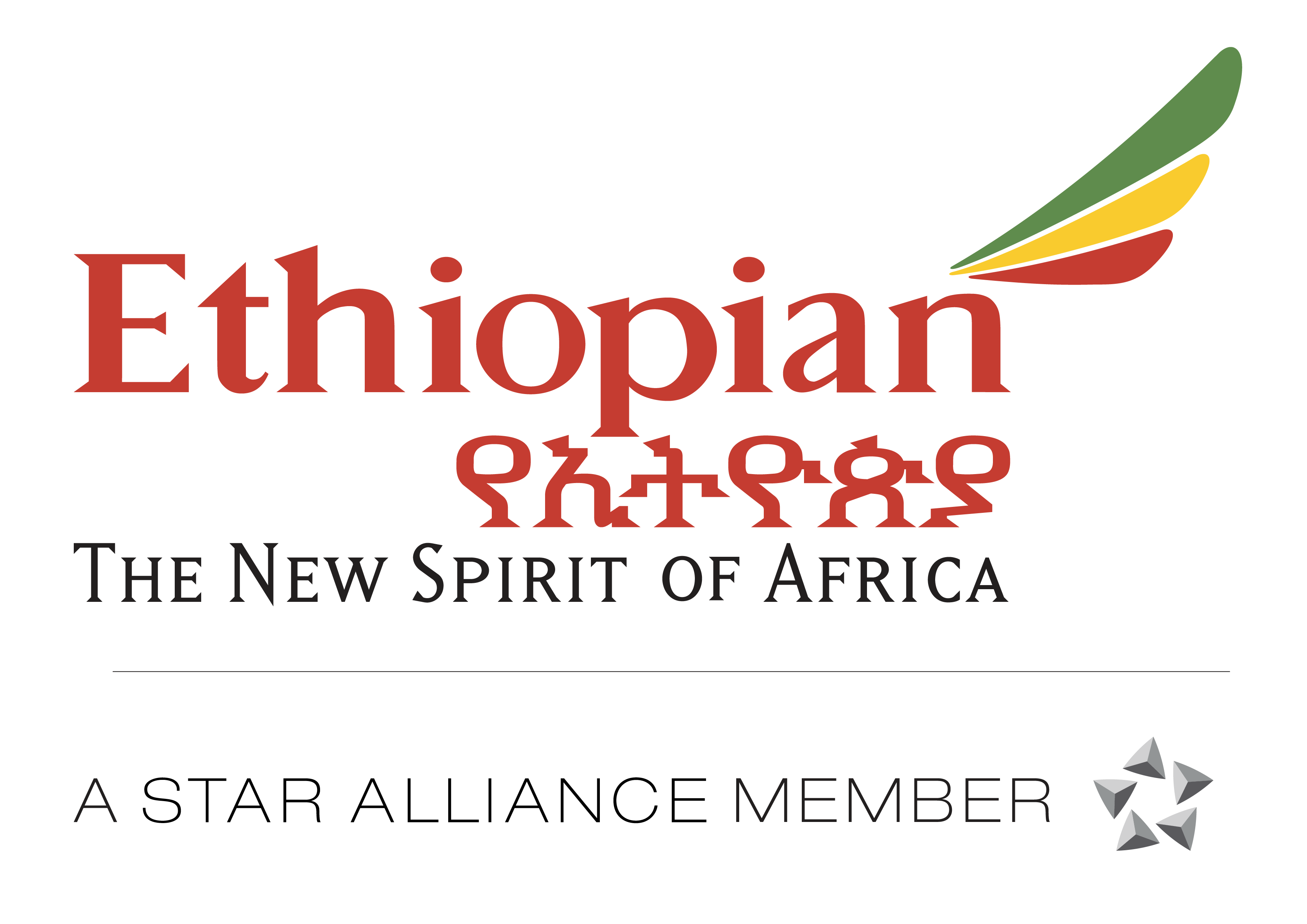 Ethiopian Airlines Bold Lgo (1)