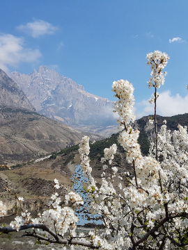 mountains-2s.jpg